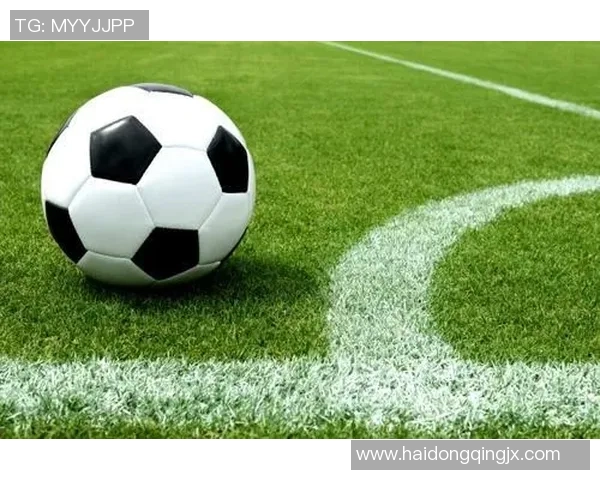 七里公园足球比赛现场直播精彩回顾与赛况分析全程跟踪报道