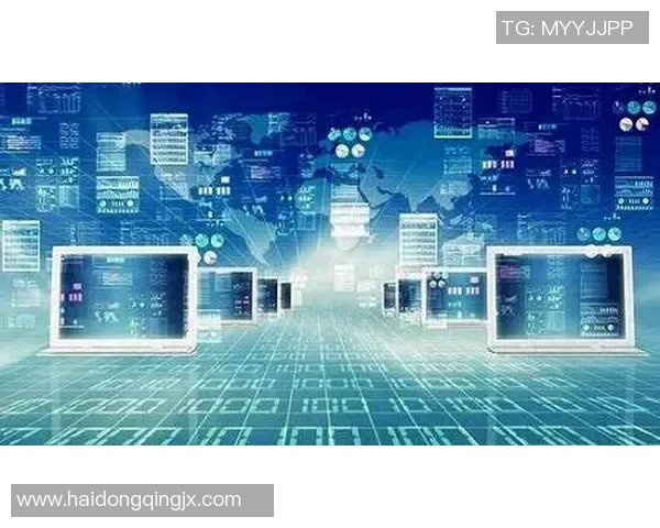 恩迪卡的崛起与未来发展：探索其在全球市场中的潜力与挑战