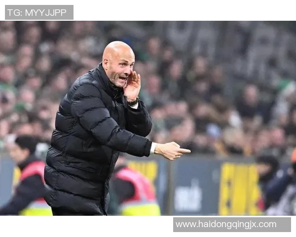 沃尔夫斯堡主帅下课：成绩低迷，球迷失望