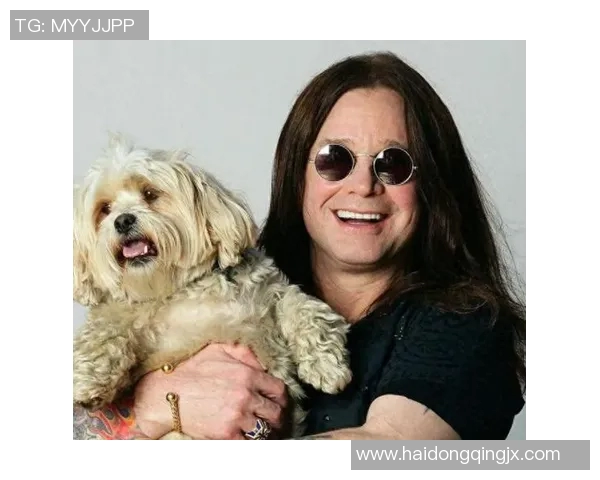 斯通斯的传奇旅程与音乐影响力探讨：从摇滚巨星到文化象征的演变之路