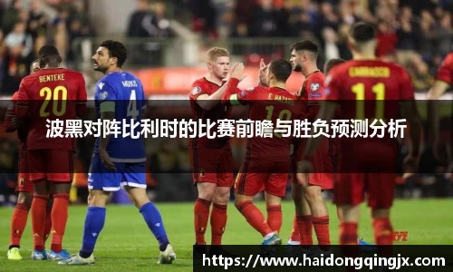 波黑对阵比利时的比赛前瞻与胜负预测分析